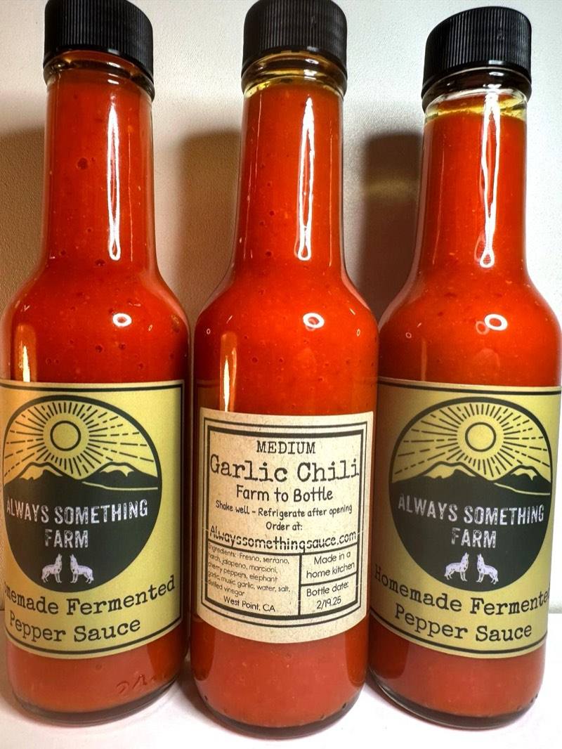 Three bottles of our farm-fermented Garlic Chili hot sauce